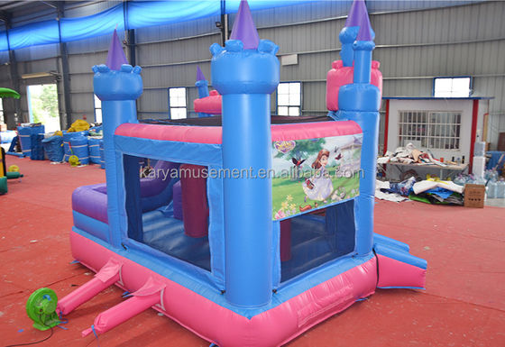 Caratteristiche PORTABLE Bambini Castello Naughty Casa gonfiabile a rimbalzo con scivolo e piscina