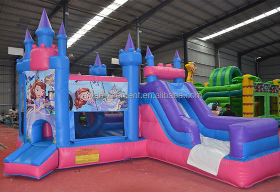 Caratteristiche PORTABLE Bambini Castello Naughty Casa gonfiabile a rimbalzo con scivolo e piscina