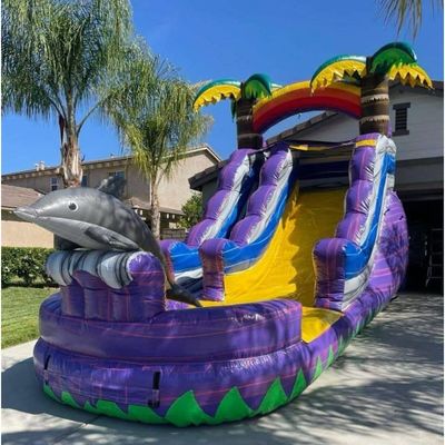 Articoli personalizzati colorato gonfiabile bouncer scivolo con piscina scivolo d'acqua di grado commerciale