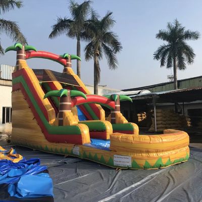 Doppia corsia Air Jumping Slide asciutto Disegno gonfiabile colorato per il parco dimensioni opzionali