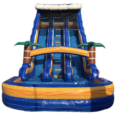 Favorito EN71/EN14960/CE Certificato palmare gonfiabile scivolo d'acqua con doppio scivolo