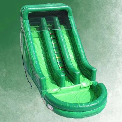 Accessori di soffiatore inclusi Magia verde incantevole Sinistra e destra doppio scivolo con piscina