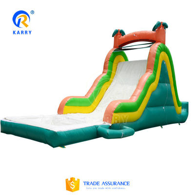 Piscine d'acqua stile castello gonfiabile rimbalzante lussuoso lunghi scivolo d'acqua per bambini e adulti