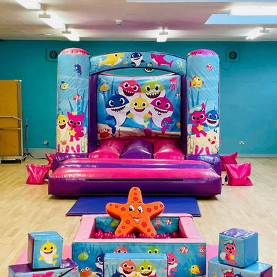 14 anni su Customized Mini Inflatabile Trampolino Castello con Slide colore personalizzato