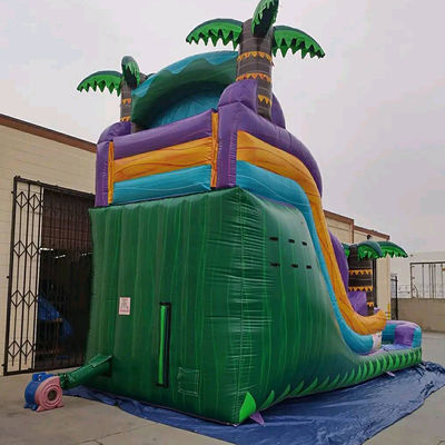 Castello gonfiabile della foresta pluviale con scivolo e scivolo in piscina Castello gonfiabile con acqua