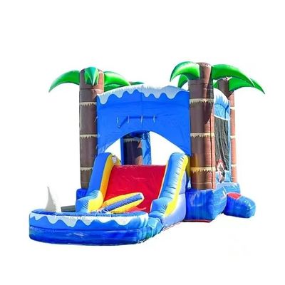 Blower inclusa, rinforzo a doppio strato, PVC, scivolo ad acqua gonfiabile con parete di arrampicata