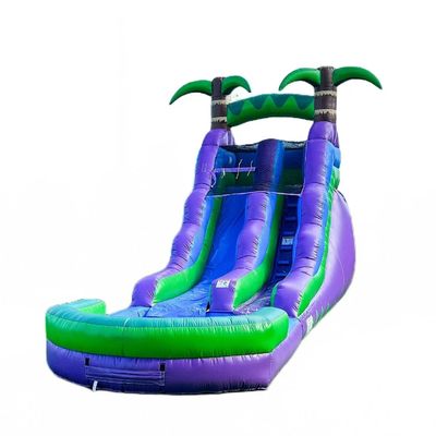 Slide idraulico gonfiabile da 25 piedi con piscina d'acqua e palma