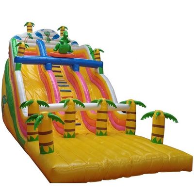 Blower inclusi Slide d'acqua gonfiabile all'aperto Slide d'aria secca all'interno per bambini e adulti