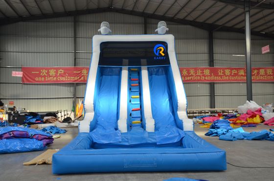Capacità massima 100-500 kg Slide d'acqua gonfiabile a doppio uso commerciale per bambini adulti