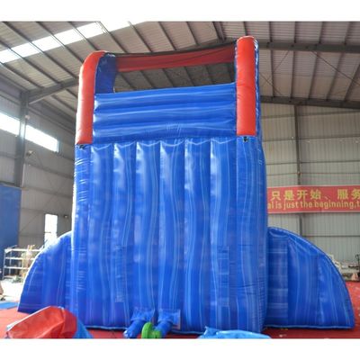 Slide ad acqua gonfiabile di qualità commerciale per adulti Slide grande piscina per pesci