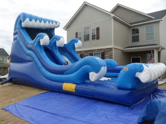 18ft PVC blu scivolo gonfiabile con piscina Karry Tropical Jumping Bouncy Castle