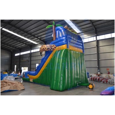 Occasioni commerciali PVC Air Filled Backyard Slide gonfiabile con piscina
