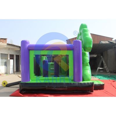 Giocattoli gonfiabili in PVC resistenti Accessori per casa gonfiabile a colori personalizzati