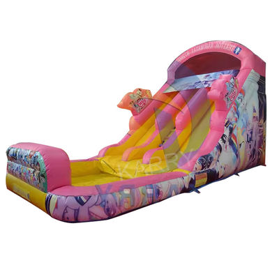 CE Blower e accessori di riparazione inclusi Fairy Princess Water Slide Inflatabile