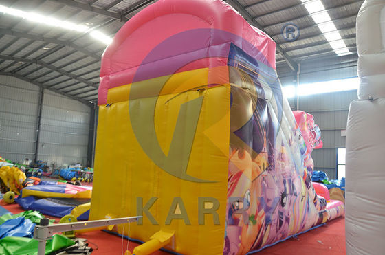 CE Blower e accessori di riparazione inclusi Fairy Princess Water Slide Inflatabile