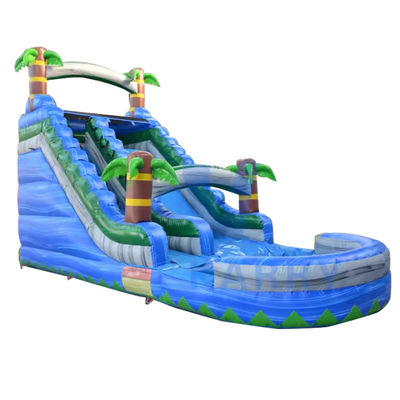 Giardino residenziale unisex scivolo d'acqua a palma blu gonfiabile con piscina