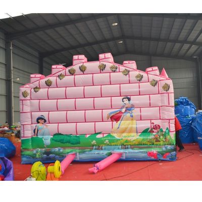 Casa di rimbalzo camaleon e scivolo gonfiabile rosa per castello di trampolini unisex