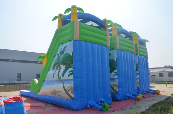 Slide acquatico unisex a doppia corsia e castello saltante