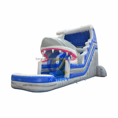 Scarica il tuo squalo interiore con lo scivolo d'acqua blu commerciale con squalo gonfiabile e piscina