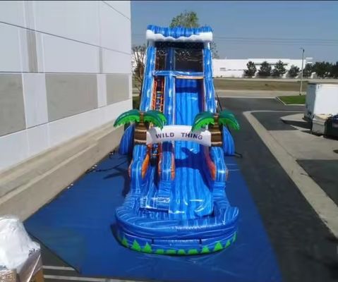 Attrezzature per parco acquatico a scivolo a gomma tropicale portate la spiaggia nel vostro cortile