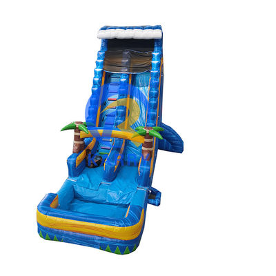 Scivolo idraulico gonfiabile da 18 piedi con piscina e palma