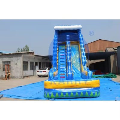 Scivolo idraulico gonfiabile da 18 piedi con piscina e palma