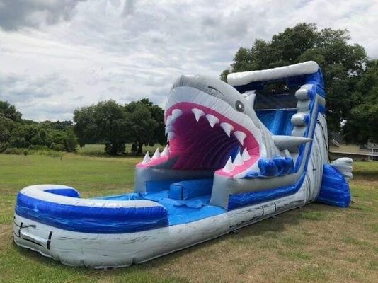 Popolari attrezzature gonfiabili per parchi acquatici Big Blue 3D Shark Water Slides con piscina