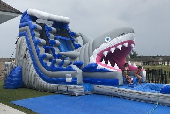 Popolari attrezzature gonfiabili per parchi acquatici Big Blue 3D Shark Water Slides con piscina
