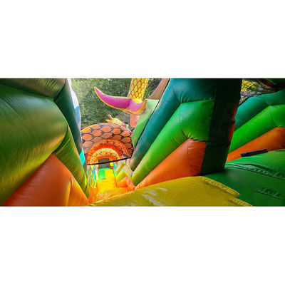 Parco Safari a colori personalizzati Bouncer gonfiabile per il divertimento dei bambini al parco all'aperto