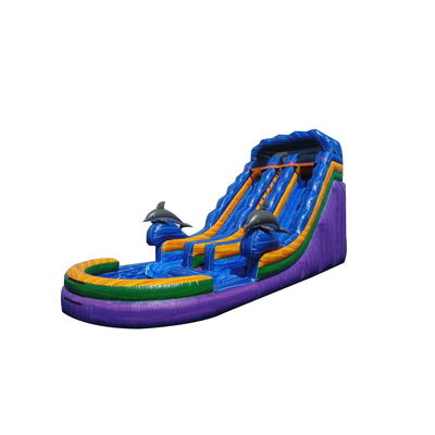 Spedizione espressa Unisex Bounce Slider Slide gonfiabile con piscina Giochi Giochi