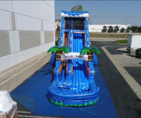 Occasione Commerciale Giochi gonfiabili Marmo Palm Tree Bouncer Slide per giochi all'aperto