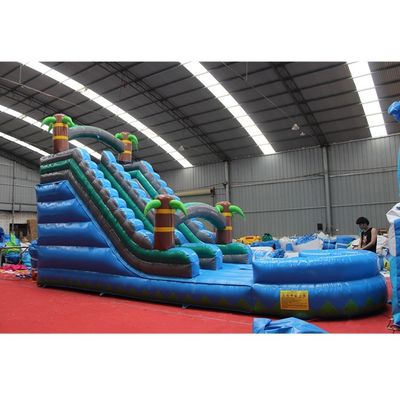 Slide gonfiabili personalizzati per serate all'aperto a noleggio CE/ROSE