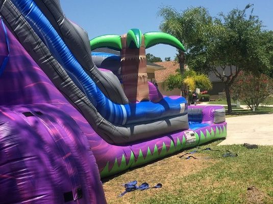 Stampa digitale Palma viola scivolo ad acqua gonfiabile commerciale per adulti e bambini