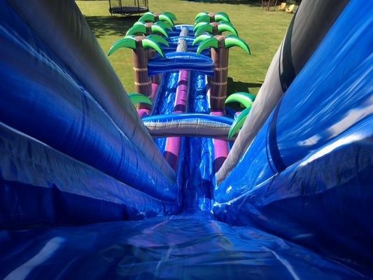 Stampa digitale Palma viola scivolo ad acqua gonfiabile commerciale per adulti e bambini