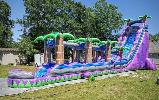 Stampa digitale Palma viola scivolo ad acqua gonfiabile commerciale per adulti e bambini