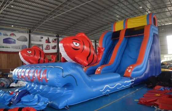 Occasioni commerciali scivolo idraulico gonfiabile con piscina 2 scivolo di carpe