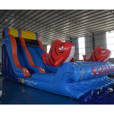 Occasioni commerciali scivolo idraulico gonfiabile con piscina 2 scivolo di carpe
