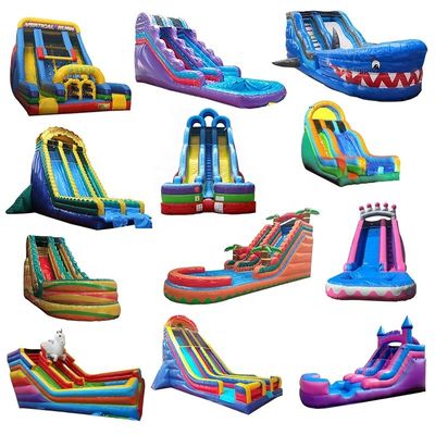 Bouncy Castle Water Slide Crocodile Creek Piscina gonfiabile e castello di salto in scivolo