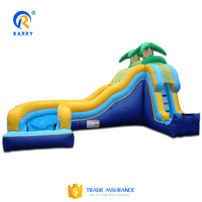Accorda il peso effettivo Commercial Slide d'acqua gonfiabile con piscina e palmare Disegno