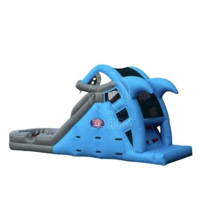 Stampa su misura Slide ad acqua gonfiabile Capacità massima 100-500 kg per il parco giochi per bambini
