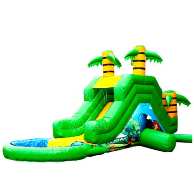 Pvc palma cortile lunghi scivolo gonfiabile scivolo d'acqua per 5-10 passeggeri festa divertimento