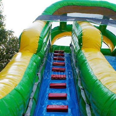 Pvc palma cortile lunghi scivolo gonfiabile scivolo d'acqua per 5-10 passeggeri festa divertimento