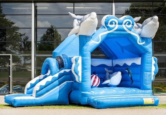 Castello da 14 anni Popolare Rainbow Unicorn all'aperto Castello salta con combo di diapositive