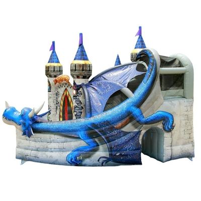 5x4m 18*16ft Blue Dinosaur Bouncy Castle Slide Combo con servizio OEM professionale
