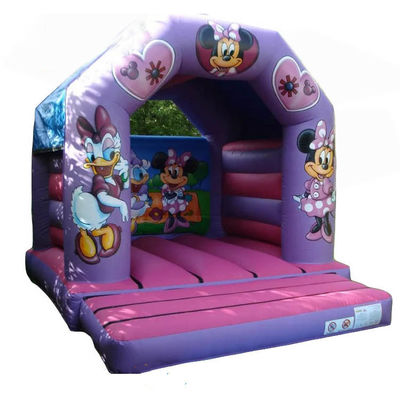 Caratteristiche di cartoni animati carini castello rimbalzante purpurino gonfiabile salto rimbalzante castello