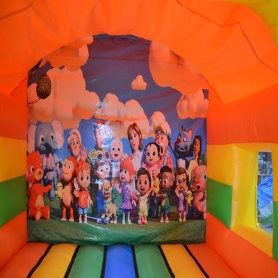 Festa di intrattenimento all'aria aperta Casa gonfiabile Bouncer Bouncer Combo con colore personalizzato