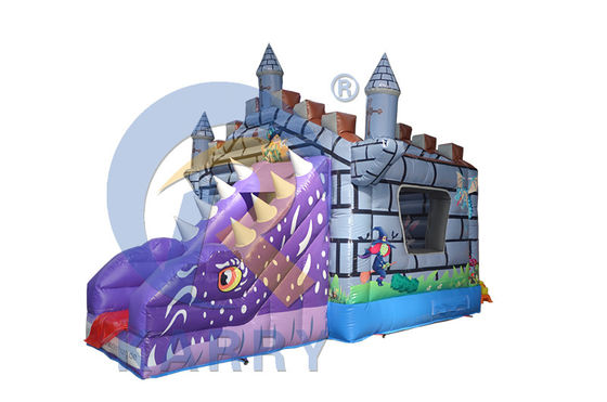 Caratteristiche PORTABLE Bambini gonfiabile Jumper asciutto Castello a rimbalzo con scivolo e camaleonte