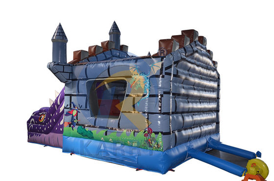 Caratteristiche PORTABLE Bambini gonfiabile Jumper asciutto Castello a rimbalzo con scivolo e camaleonte