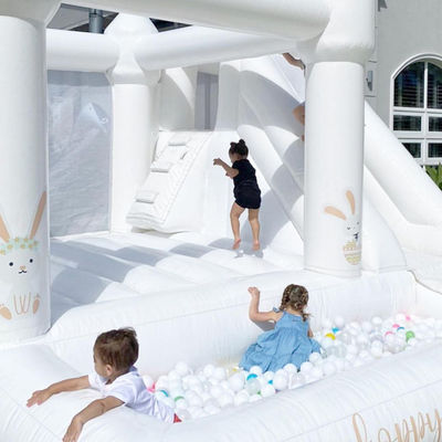 Salto da castello a sbalzo con scivolo e pozzo a palla spedizione aerea rapida