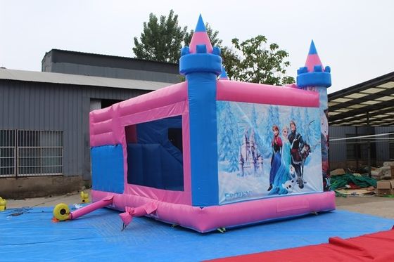 Gamma d'età 14 anni in su Castello Bounce Casa Rosa Salto Bouncy Castello in affitto per feste